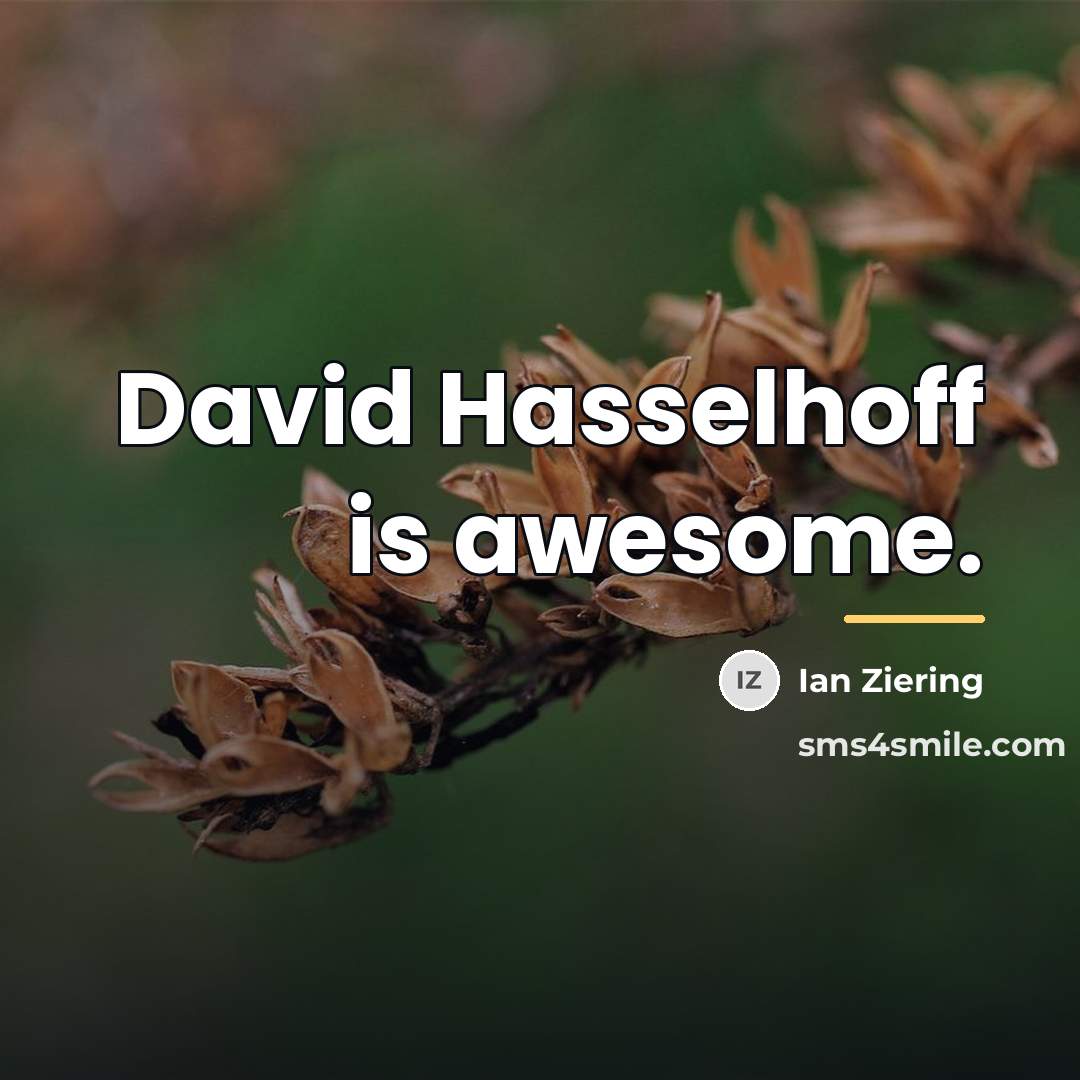 “David Hasselhoff is awesome.…” quote by Ian Ziering