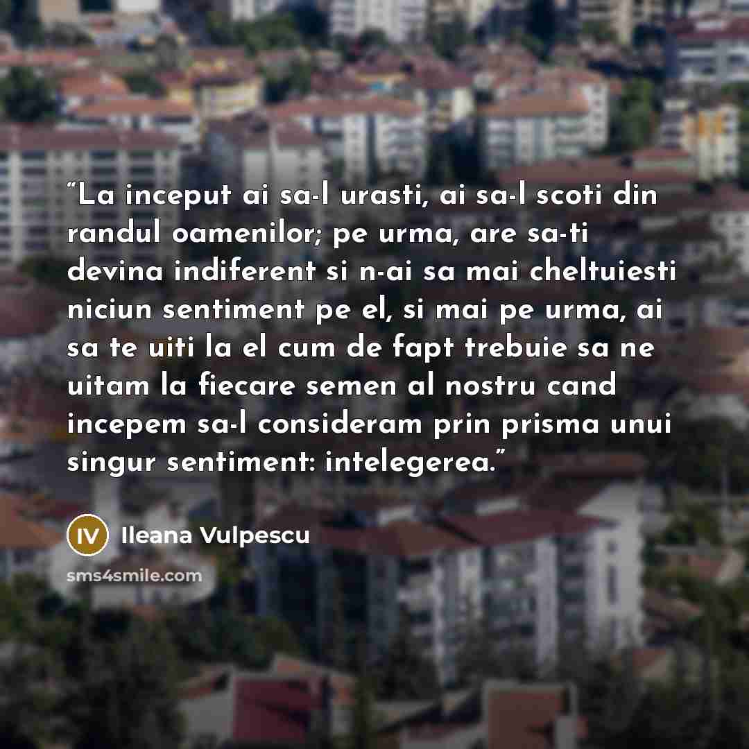 “La inceput ai sa-l urasti, ai sa-l scoti din randul oamenilor; pe urma, are sa-ti devina indiferent si n-ai sa mai cheltuiesti niciun sentiment pe el, si mai pe urma, ai sa te uiti la el cum de fapt trebuie sa ne uitam la fiecare semen al nostru cand incepem sa-l consideram prin prisma unui singur…” quote by Ileana Vulpescu