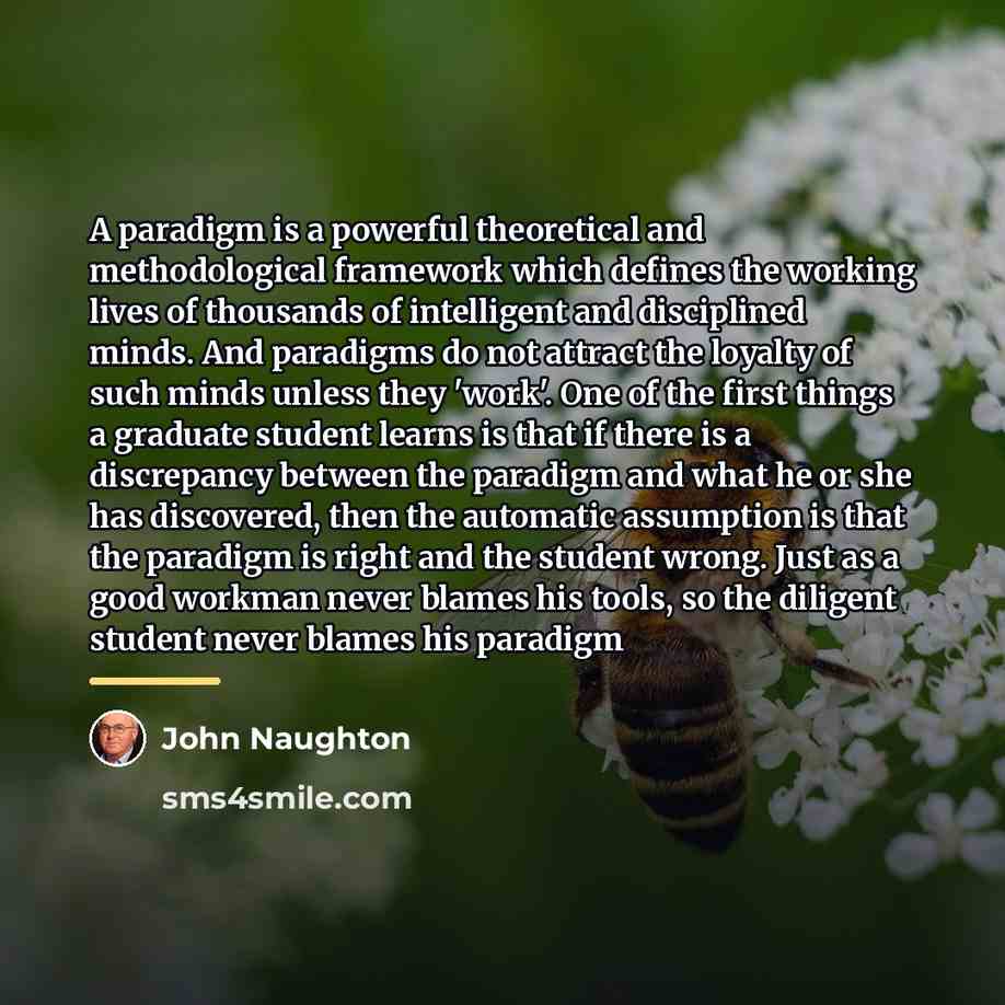 “A paradigm is a powerful theoretical and methodological framework which…” quote by John Naughton