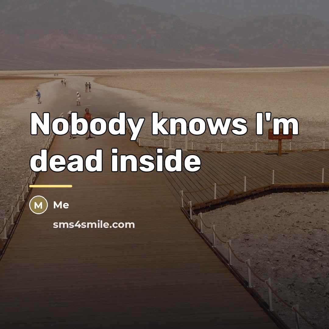 “Nobody knows I'm dead inside…” quote by Me