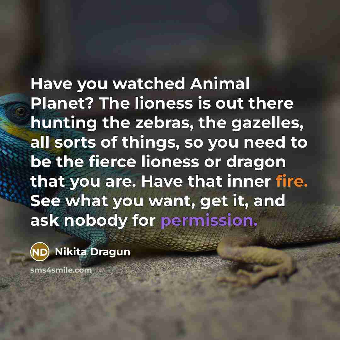 “Have you watched Animal Planet? The lioness is out there…” quote by Nikita Dragun