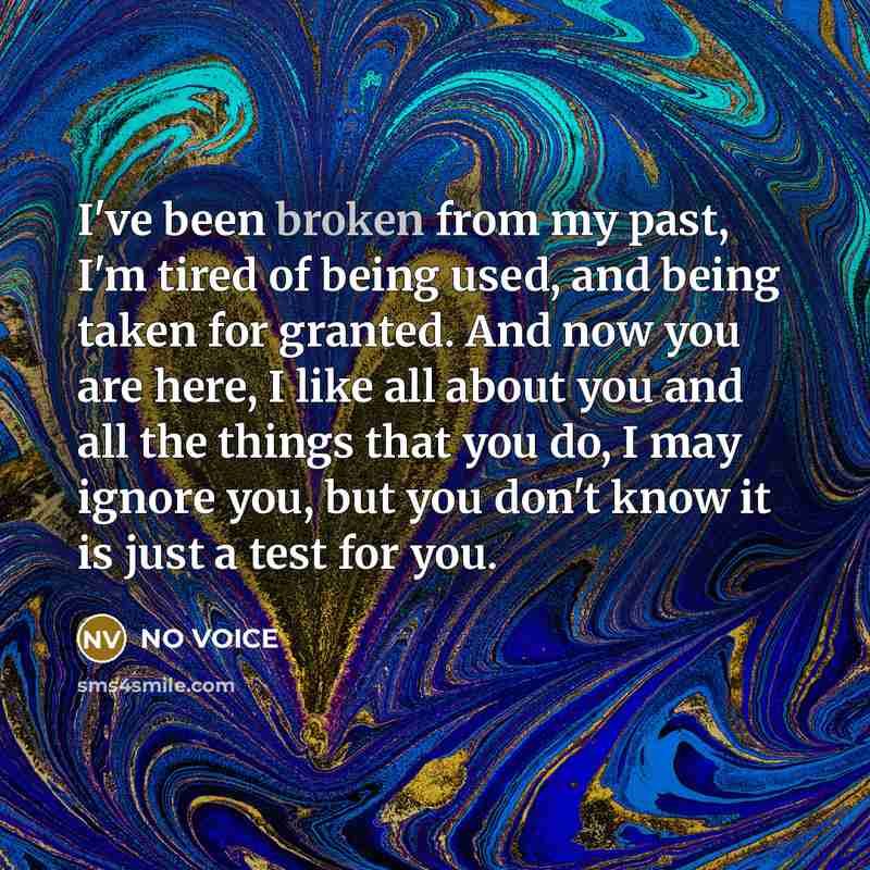 “I've been broken from my past, I'm tired of being used, and being taken for granted. And now you are here, I like all about you and all the things that you do, I may ignore you, but you don't know it is just a test for you.” quote by NO VOICE