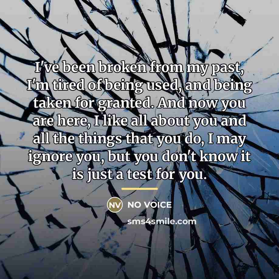 “I've been broken from my past, I'm tired of being…” quote by NO VOICE