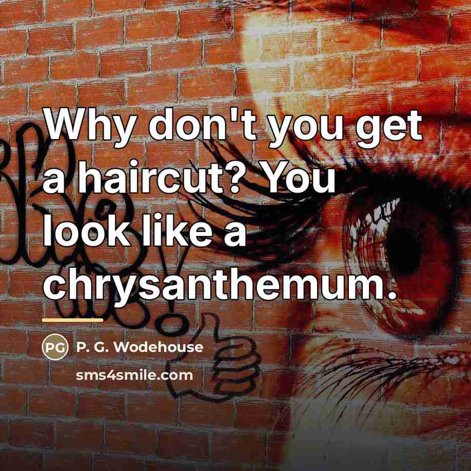 “Why don't you get a haircut? You look like a…” quote by P. G. Wodehouse