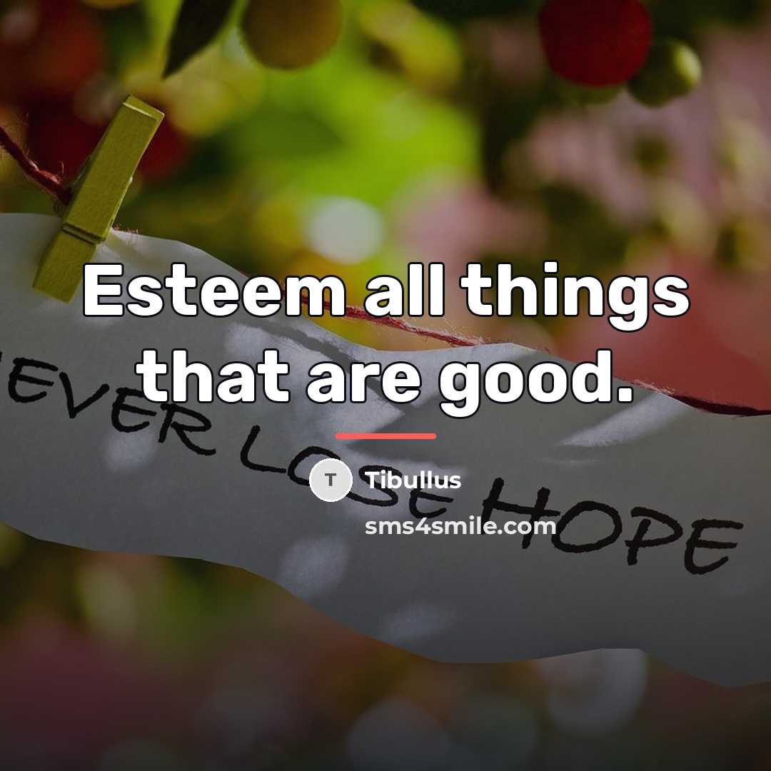 “Esteem all things that are good.…” quote by Tibullus