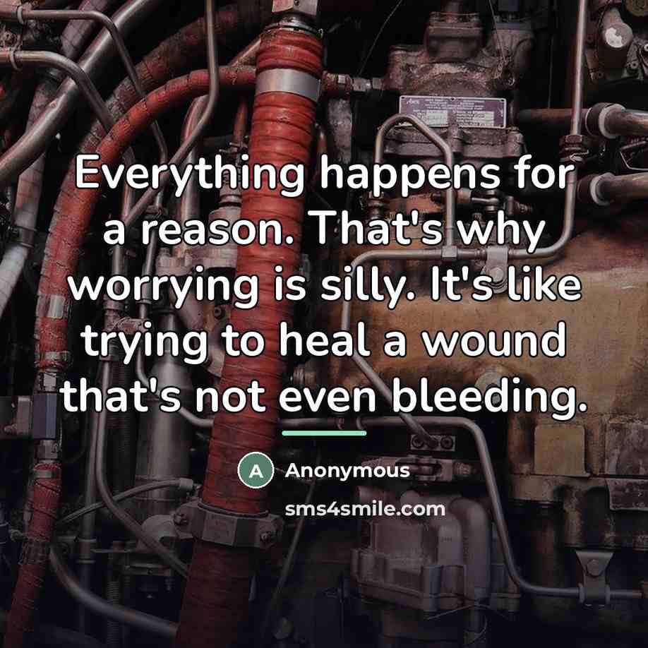 “Everything happens for a reason. That's why worrying is silly.…” quote by Anonymous