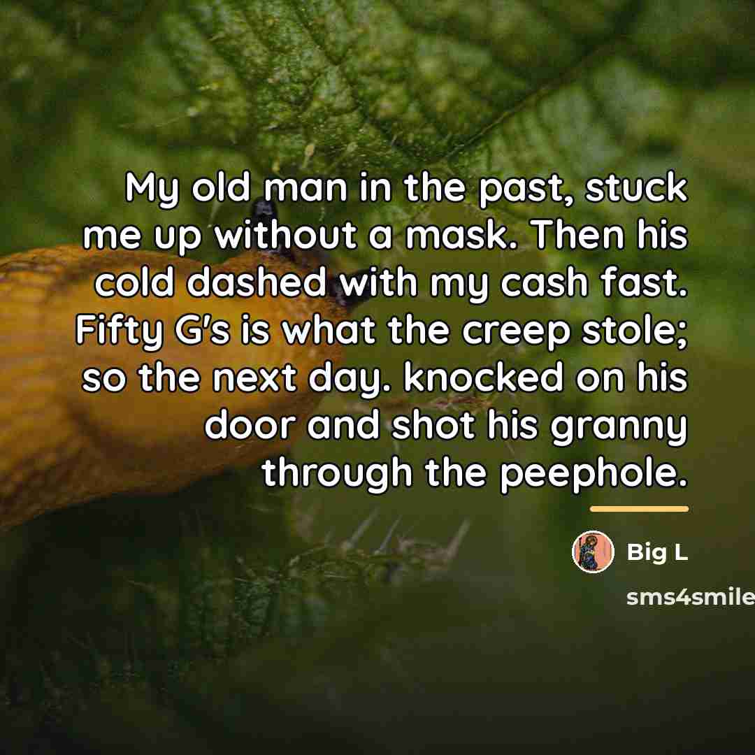 “My old man in the past, stuck me up without…” quote by Big L