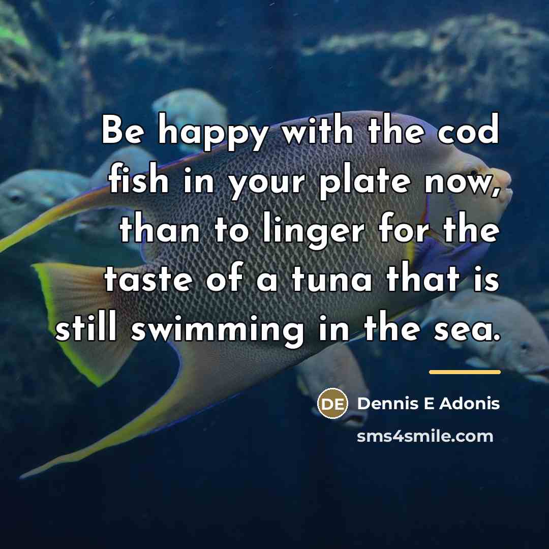 “Be happy with the cod fish in your plate now,…” quote by Dennis E Adonis