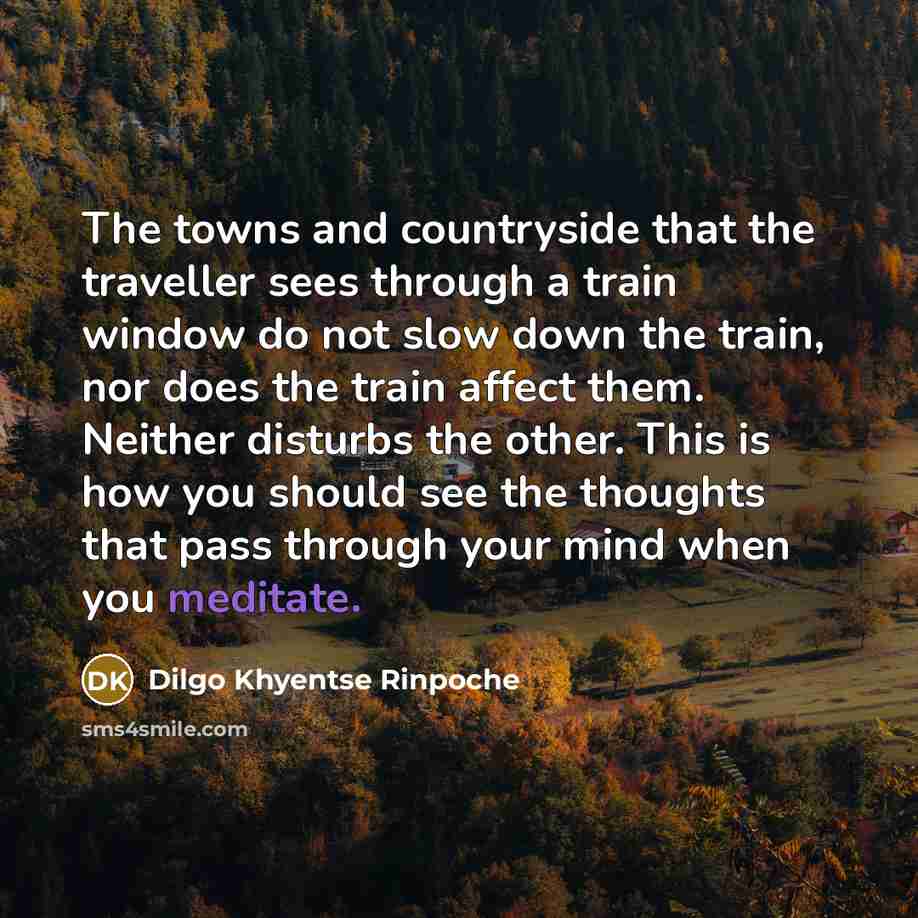 “The towns and countryside that the traveller sees through a…” quote by Dilgo Khyentse Rinpoche
