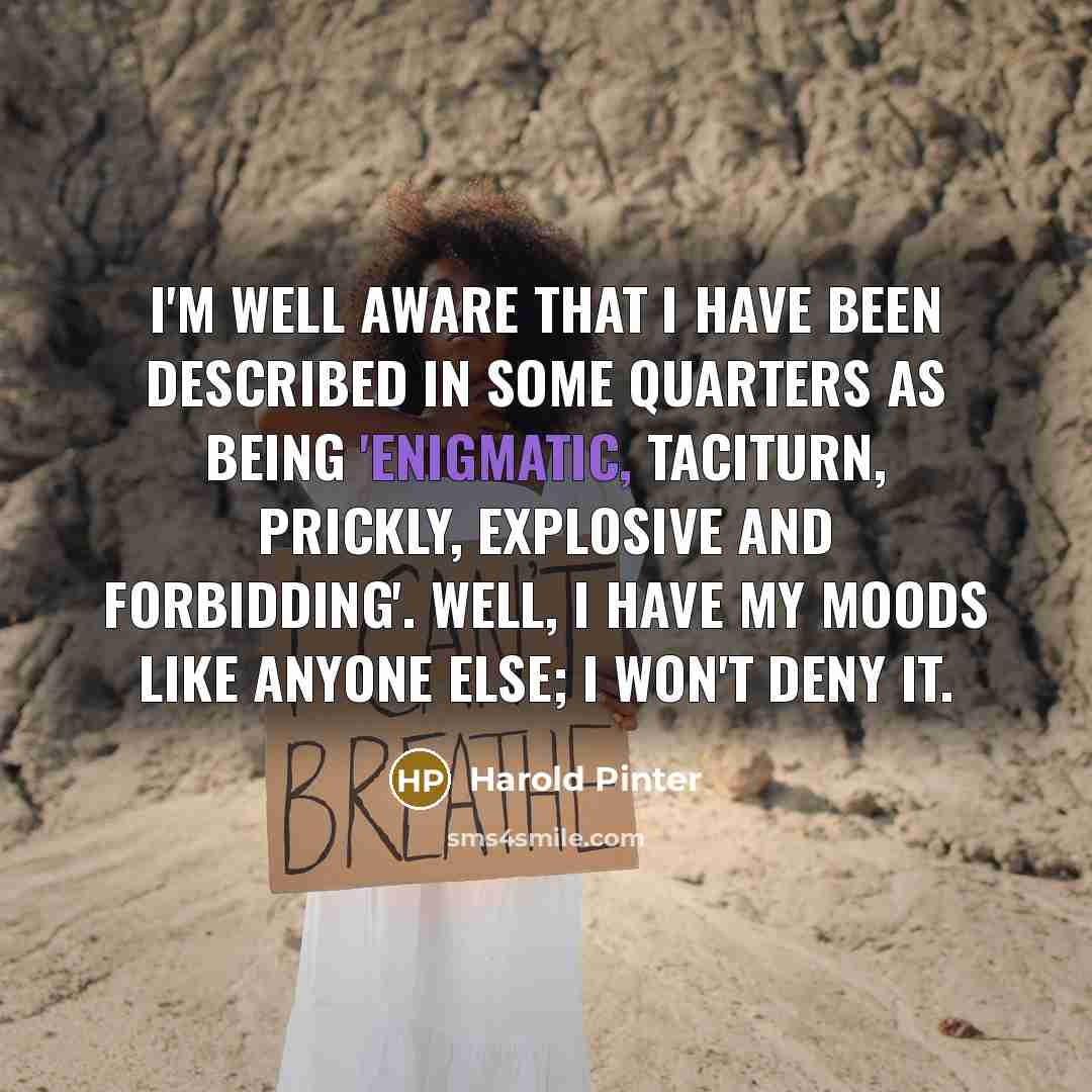 “I'm well aware that I have been described in some…” quote by Harold Pinter