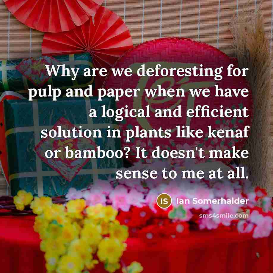 “Why are we deforesting for pulp and paper when we…” quote by Ian Somerhalder