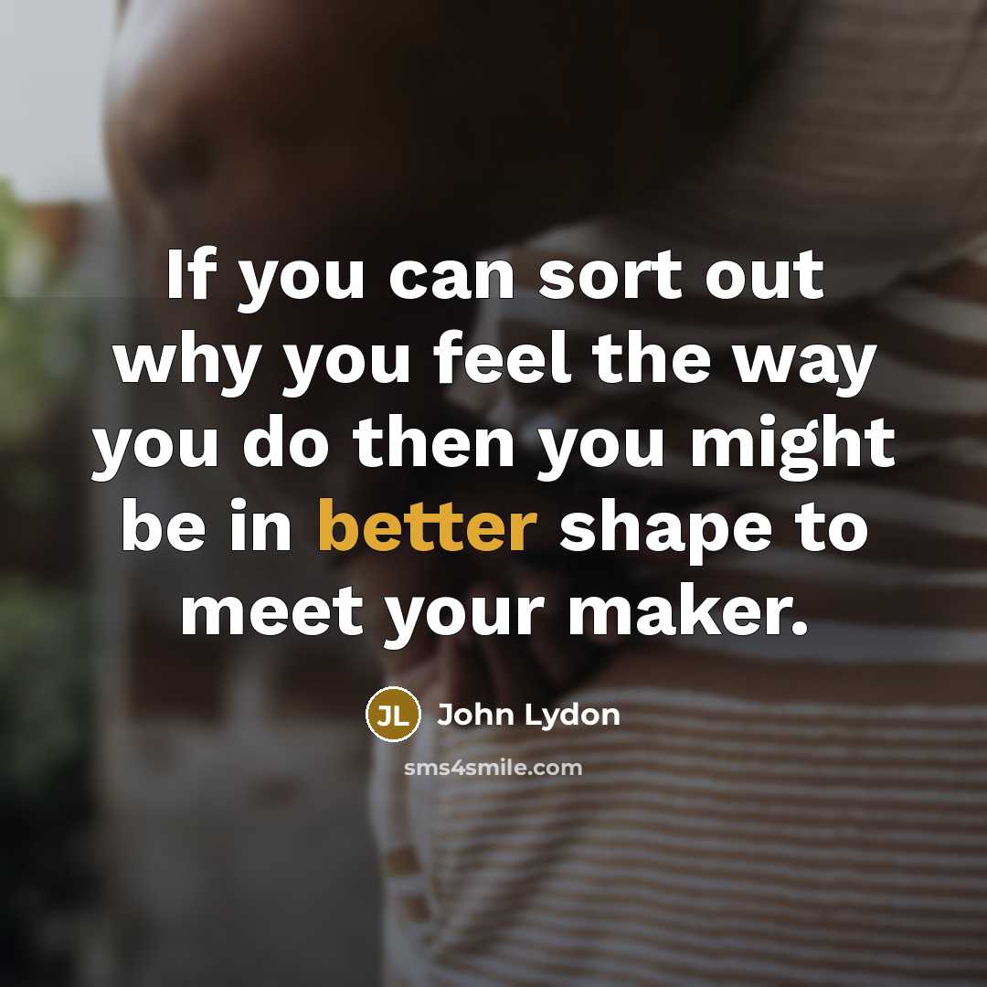 “If you can sort out why you feel the way you do then you might be in better shape to meet your maker.” quote by John Lydon