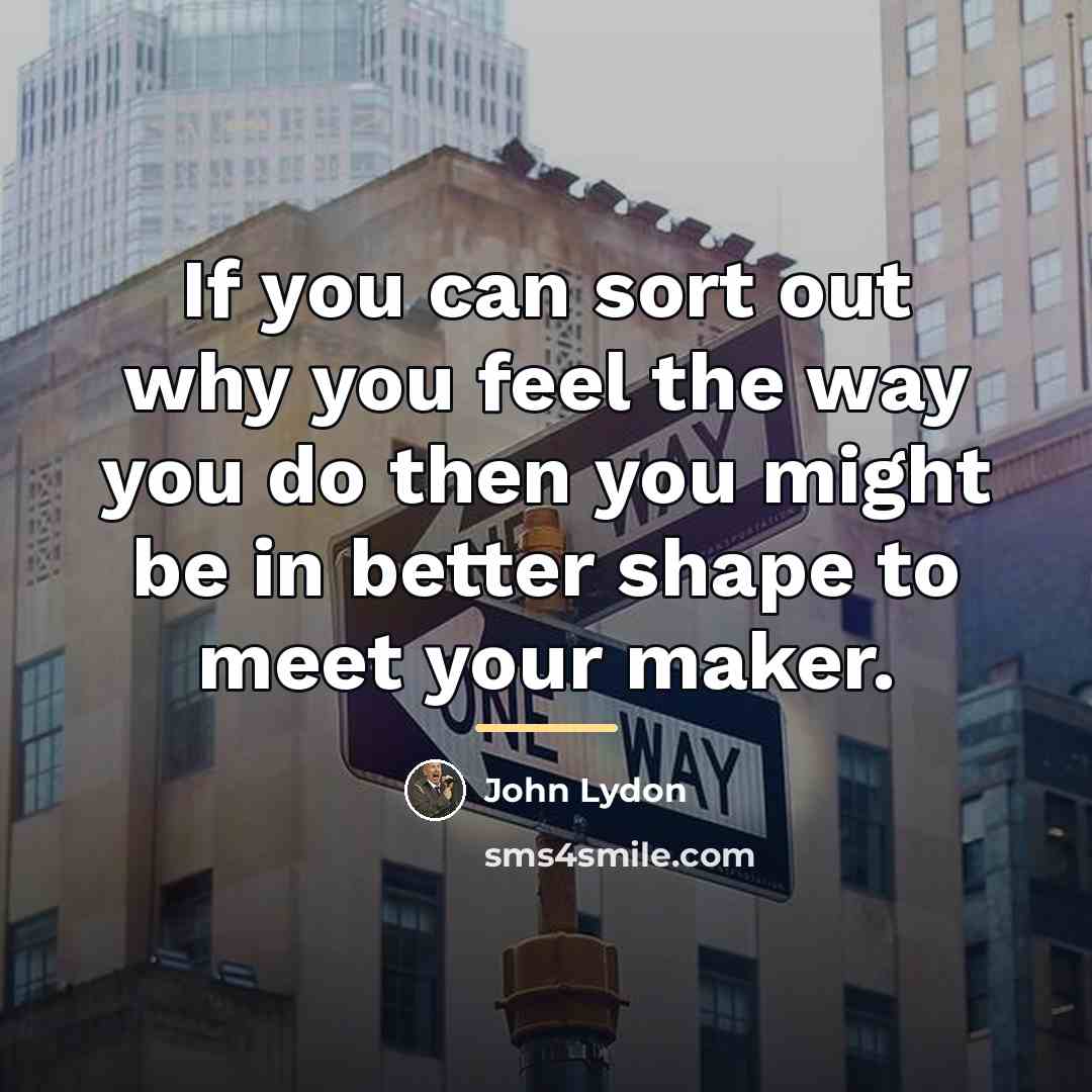 “If you can sort out why you feel the way…” quote by John Lydon