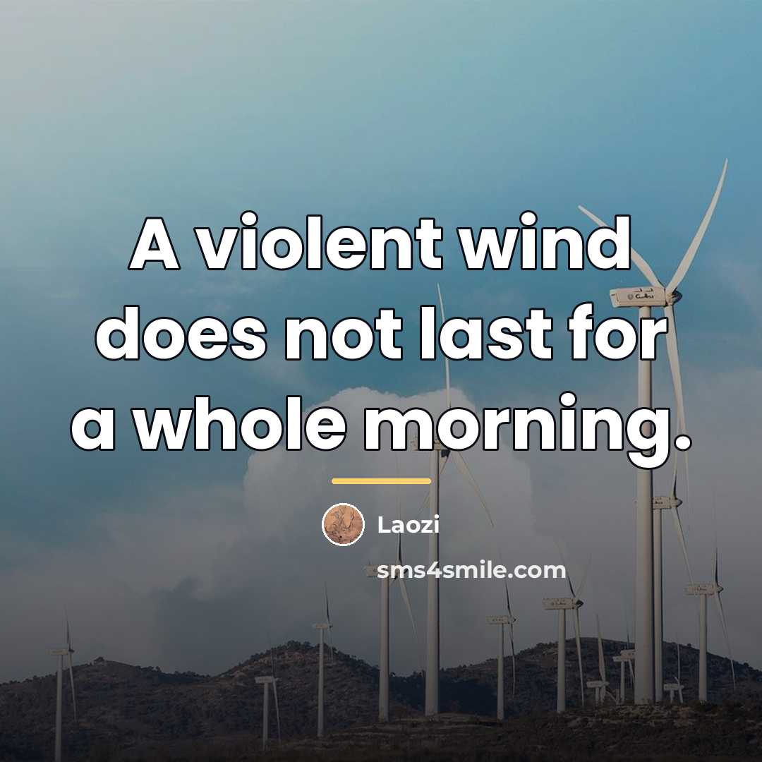 “A violent wind does not last for a whole morning.…” quote by Laozi