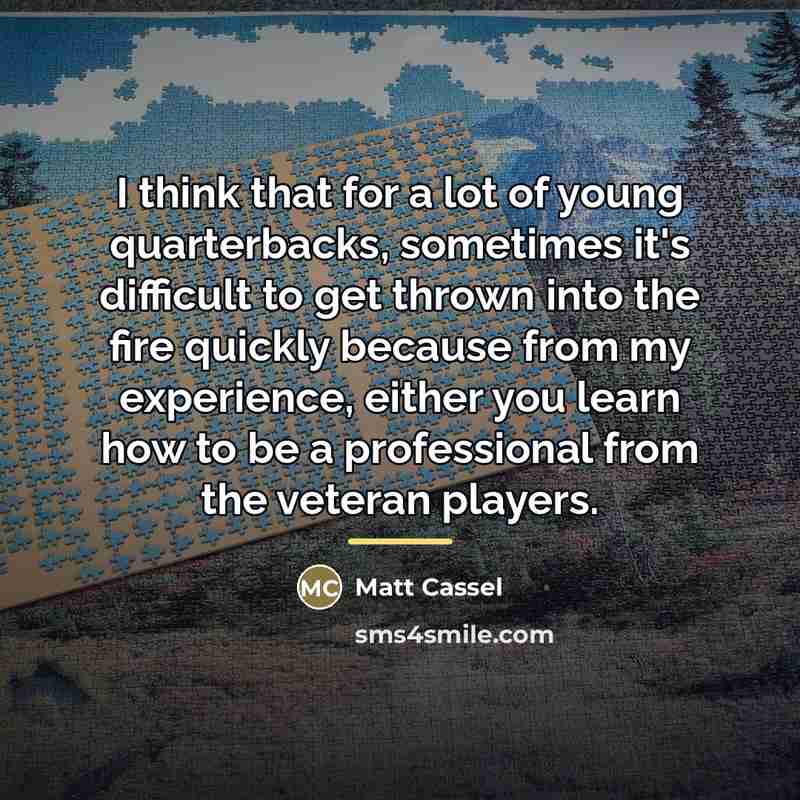 “I think that for a lot of young quarterbacks, sometimes…” quote by Matt Cassel