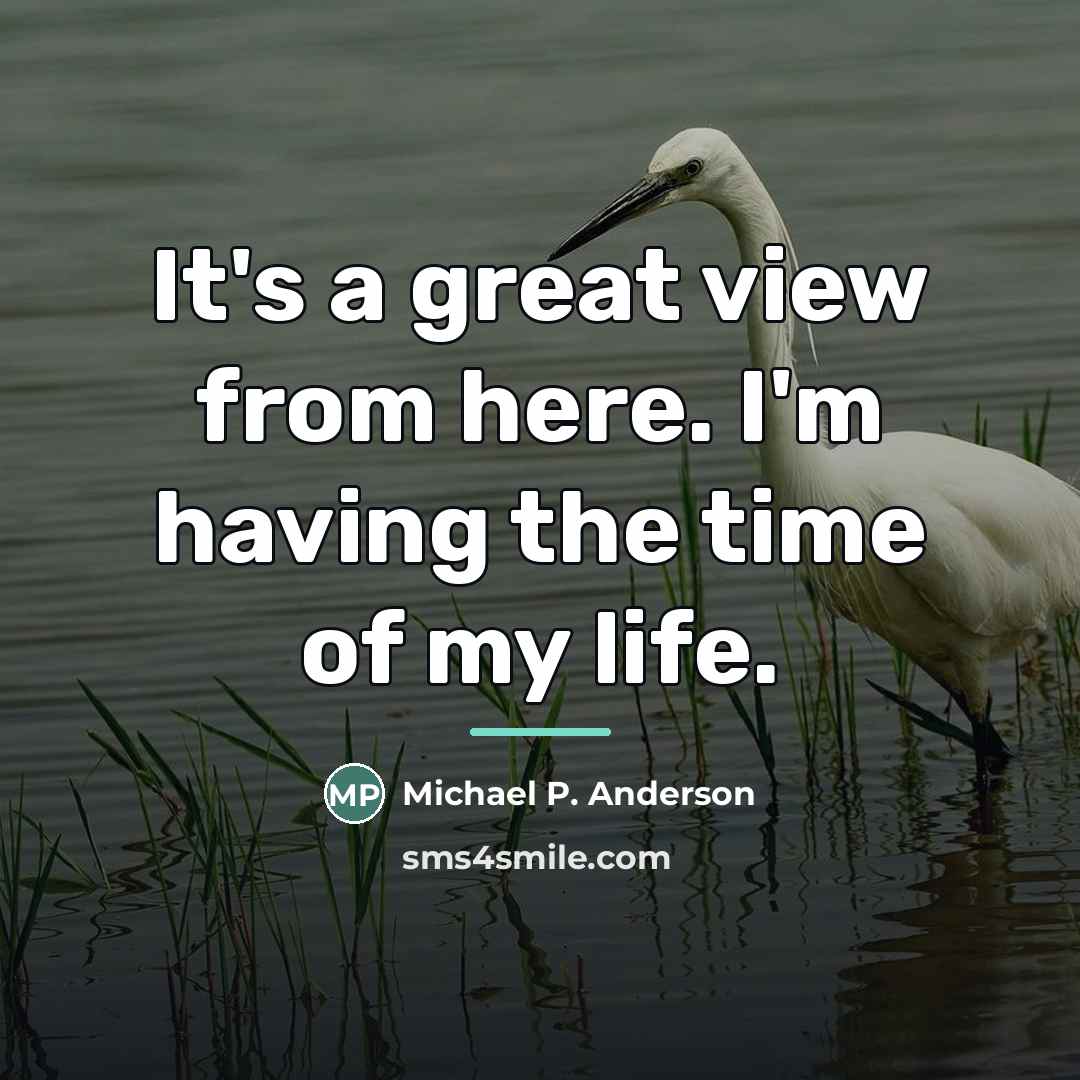 “It's a great view from here. I'm having the time…” quote by Michael P. Anderson