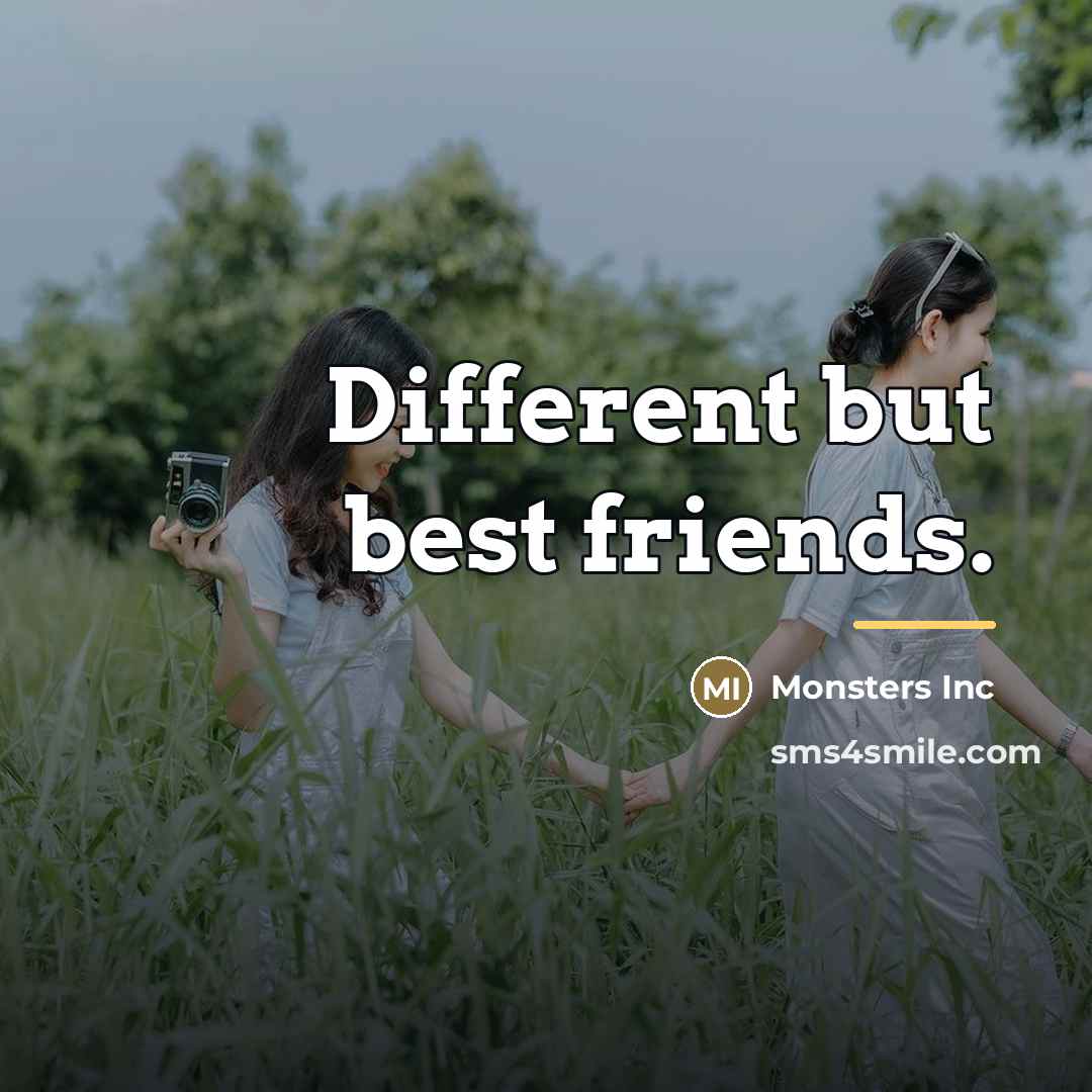 “Different but best friends.…” quote by Monsters Inc