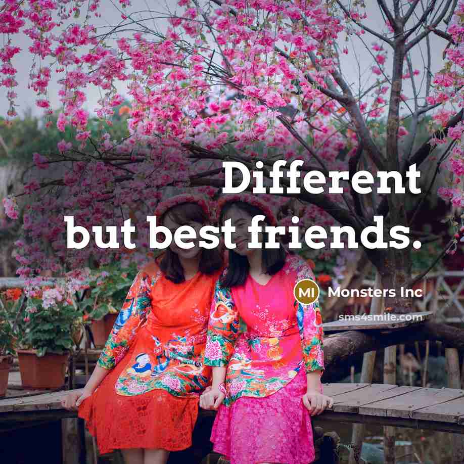 “Different but best friends.” quote by Monsters Inc