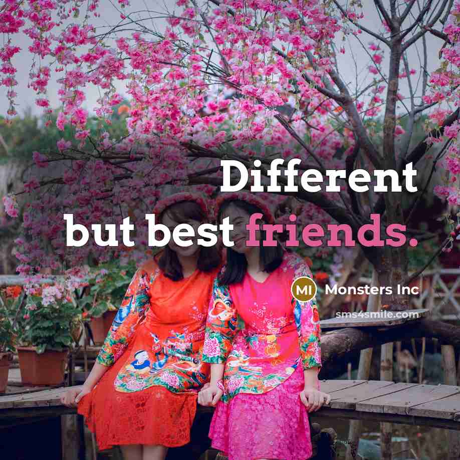 “Different but best friends.” quote by Monsters Inc