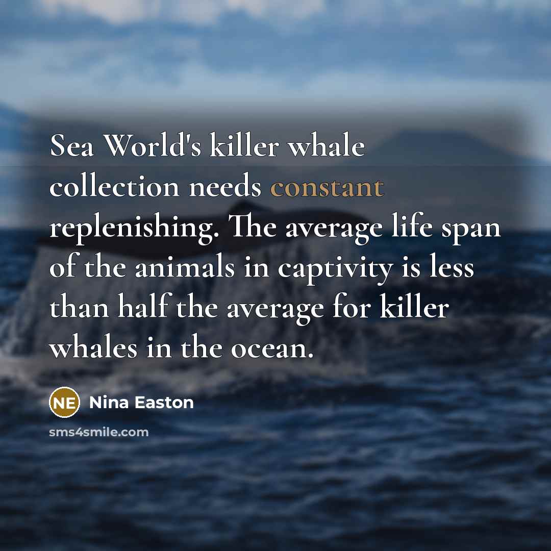 “Sea World's killer whale collection needs constant replenishing. The average…” quote by Nina Easton
