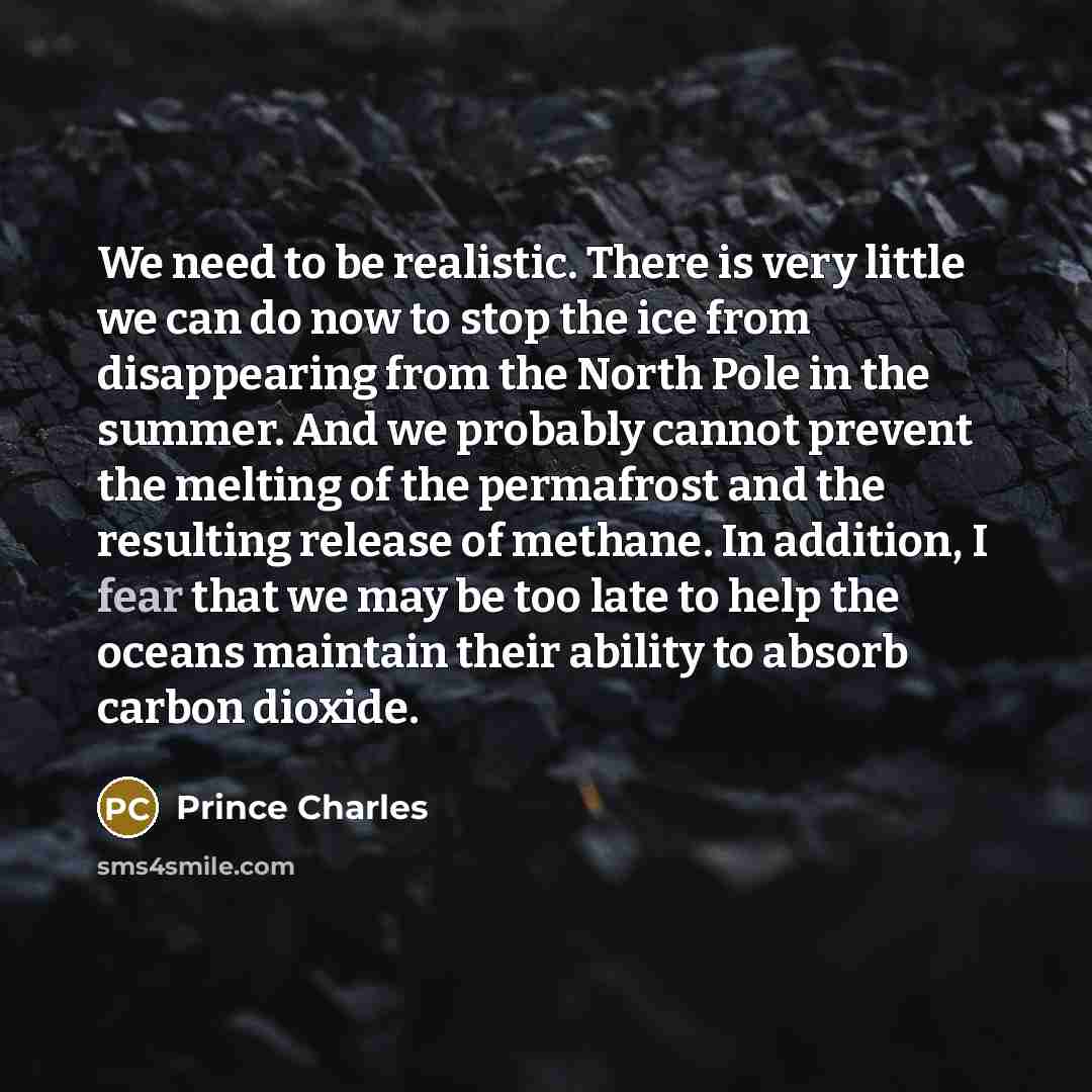 “We need to be realistic. There is very little we…” quote by Prince Charles