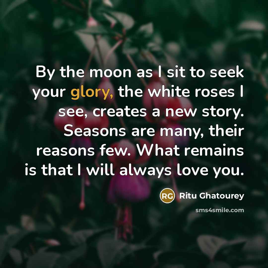 “By the moon as I sit to seek your glory,…” quote by Ritu Ghatourey