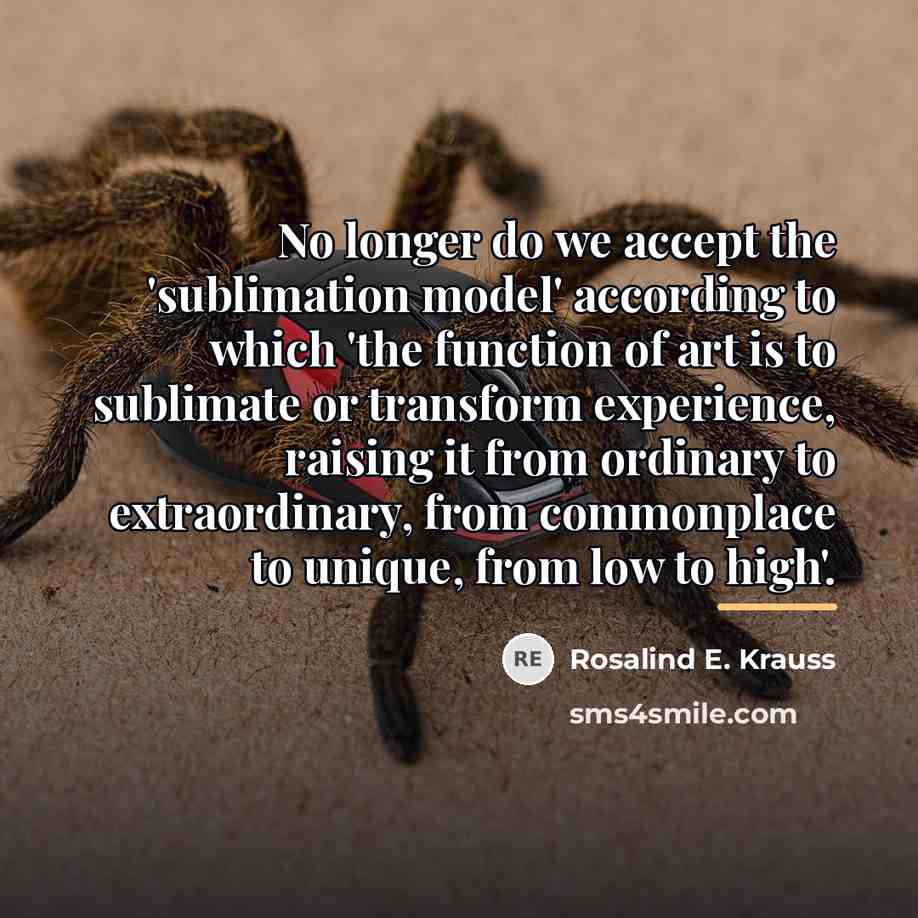 “No longer do we accept the 'sublimation model' according to…” quote by Rosalind E. Krauss