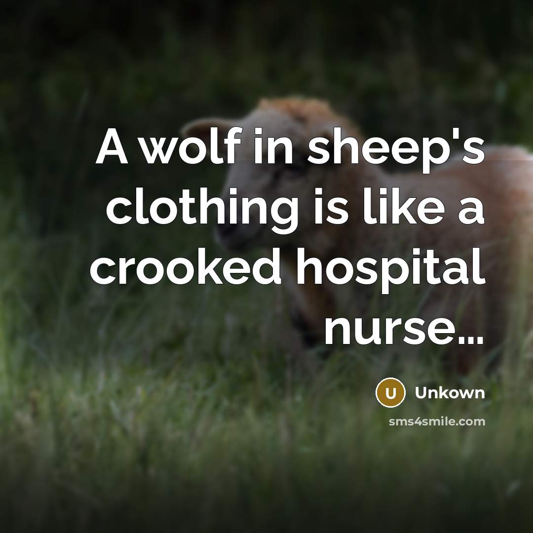 “A wolf in sheep's clothing is like a crooked hospital nurse…” quote by Unkown