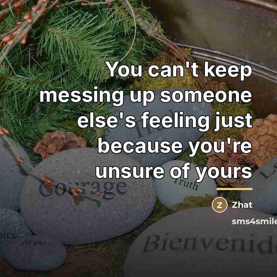 “You can't keep messing up someone else's feeling just because…” quote by Zhat