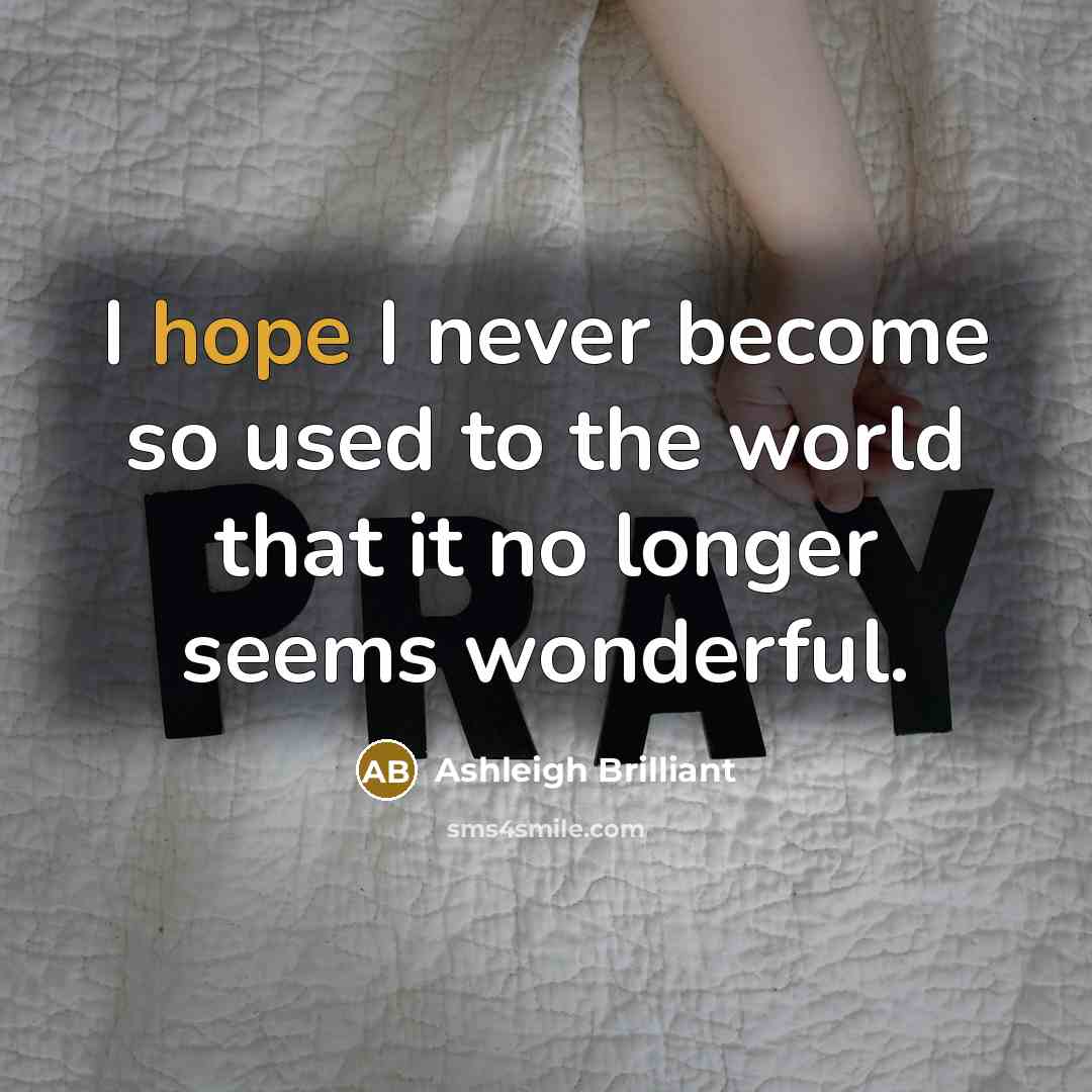 “I hope I never become so used to the world…” quote by Ashleigh Brilliant