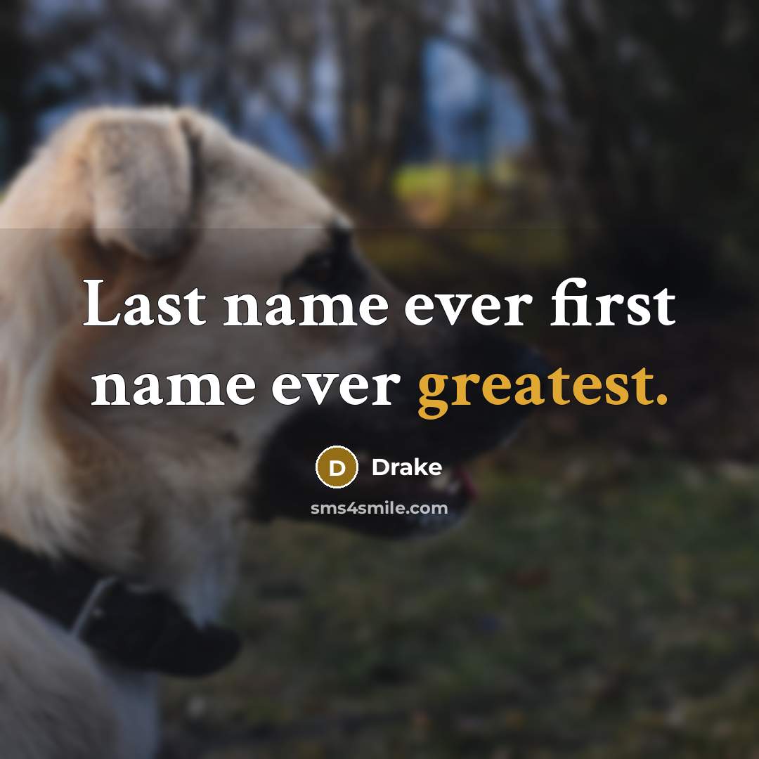 “Last name ever first name ever greatest.” quote by Drake