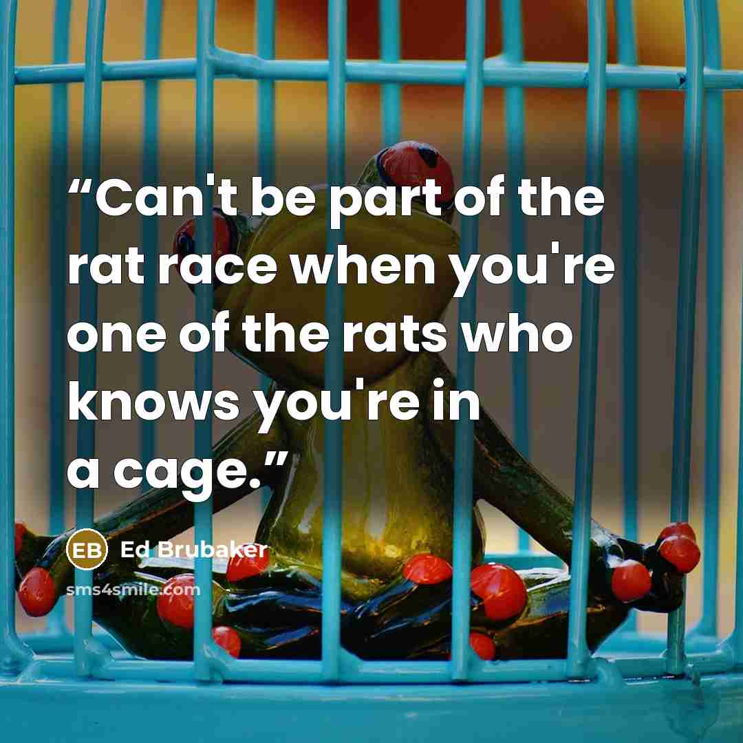 “Can't be part of the rat race when you're one of the rats who knows you're in a cage.” quote by Ed Brubaker
