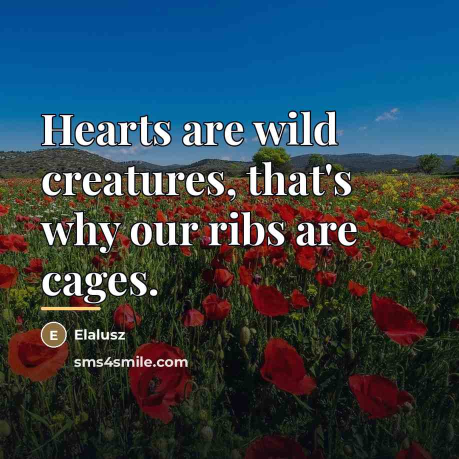 “Hearts are wild creatures, that's why our ribs are cages.…” quote by Elalusz
