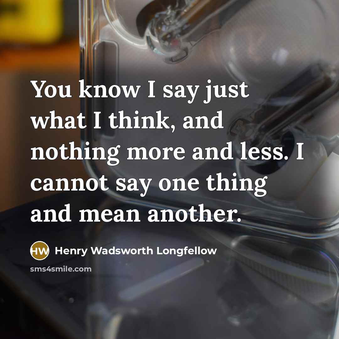 “You know I say just what I think, and nothing…” quote by Henry Wadsworth Longfellow