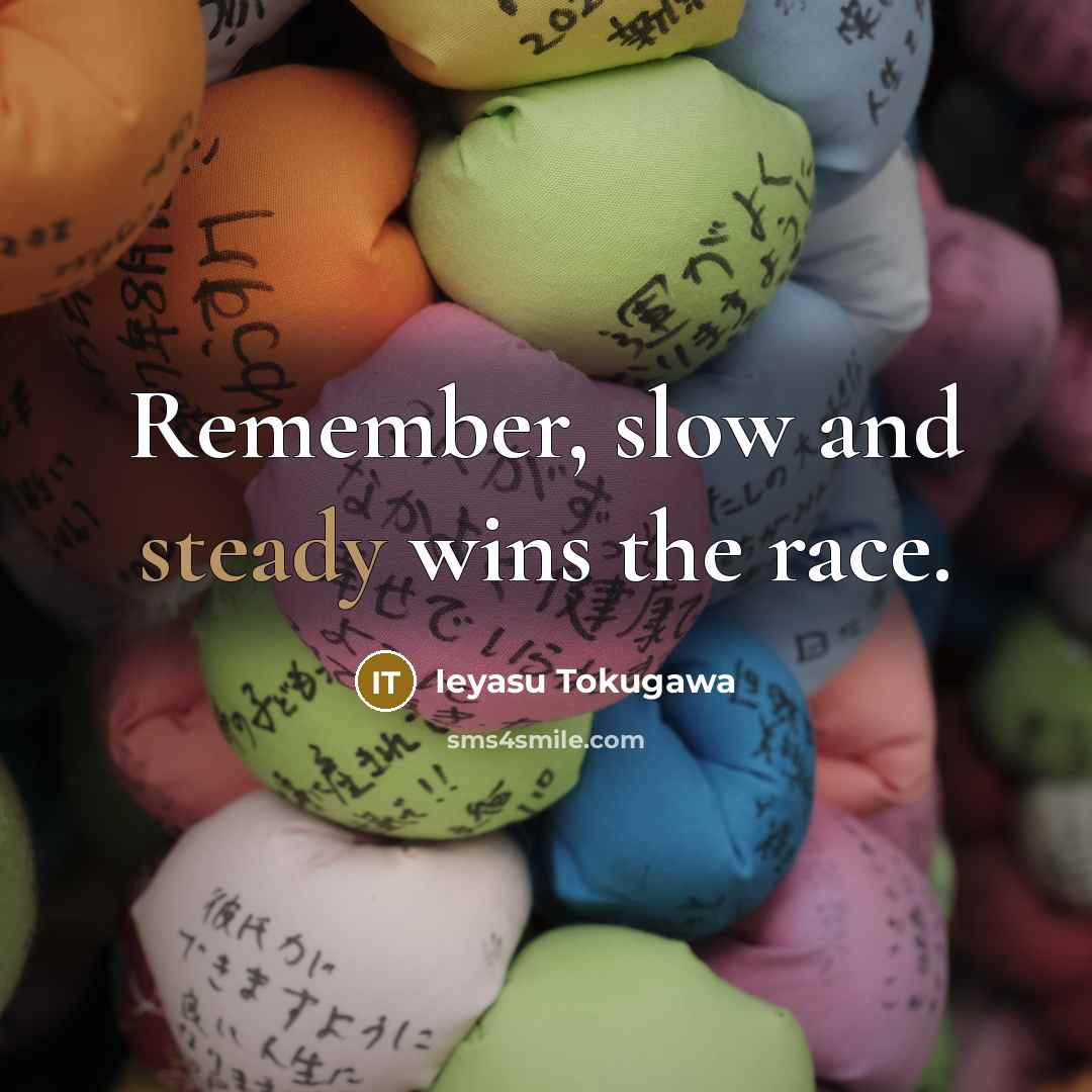 “Remember, slow and steady wins the race.…” quote by Ieyasu Tokugawa