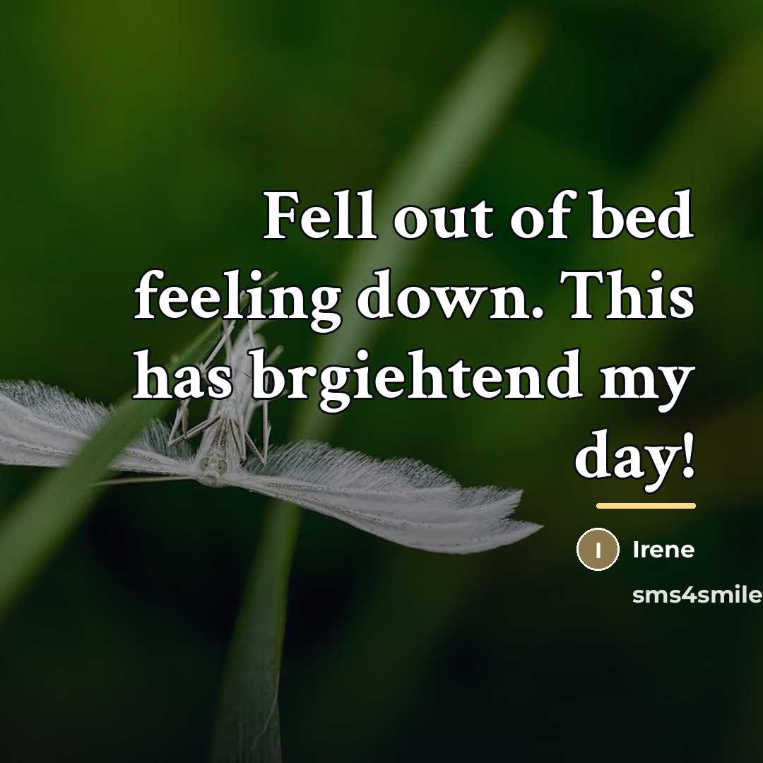 “Fell out of bed feeling down. This has brgiehtend my…” quote by Irene
