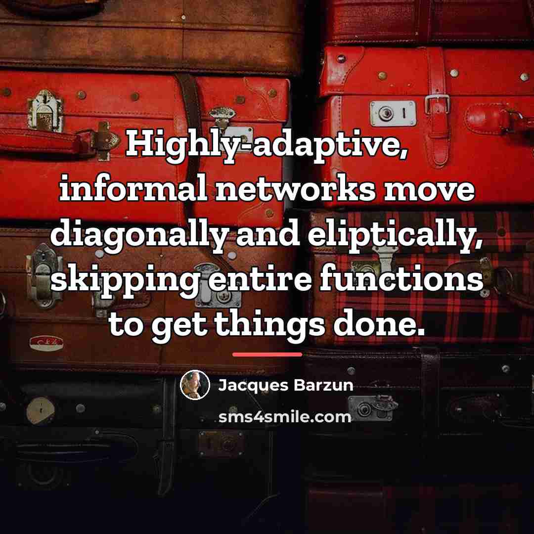 “Highly-adaptive, informal networks move diagonally and eliptically, skipping entire functions…” quote by Jacques Barzun