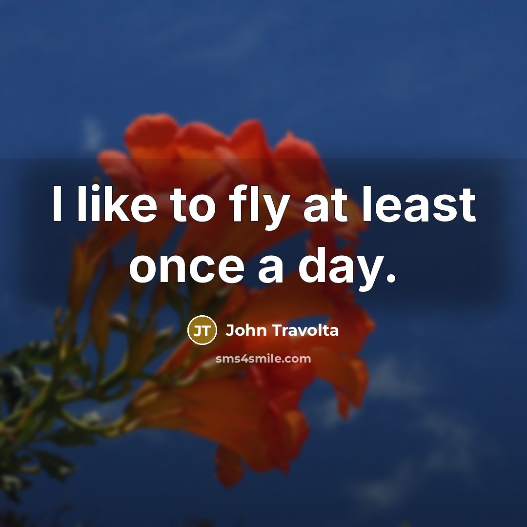 “I like to fly at least once a day.…” quote by John Travolta