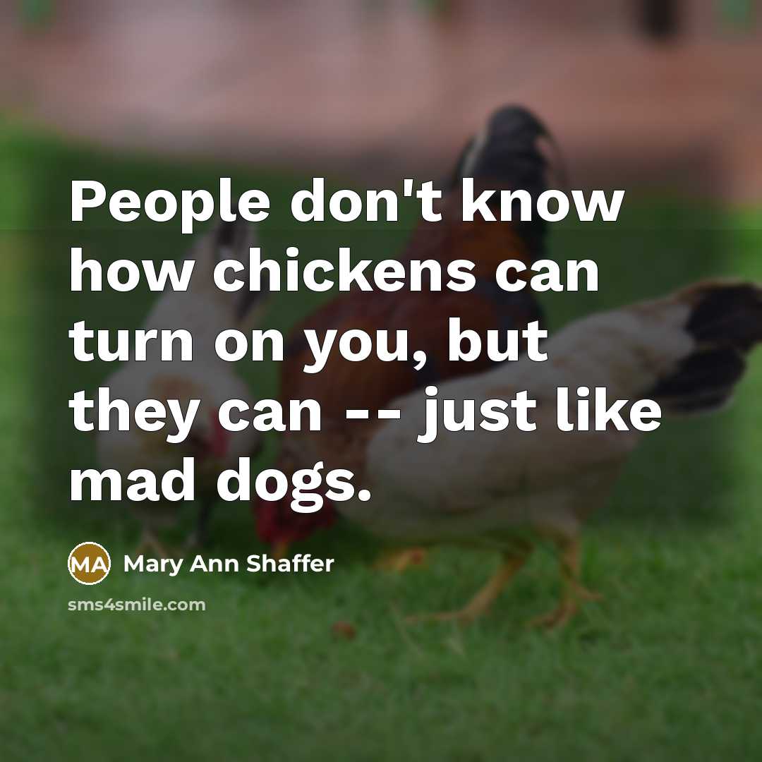 “People don't know how chickens can turn on you, but…” quote by Mary Ann Shaffer