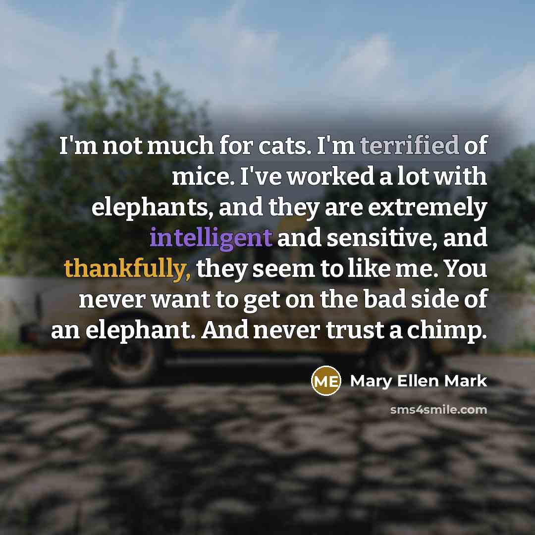 “I'm not much for cats. I'm terrified of mice. I've…” quote by Mary Ellen Mark