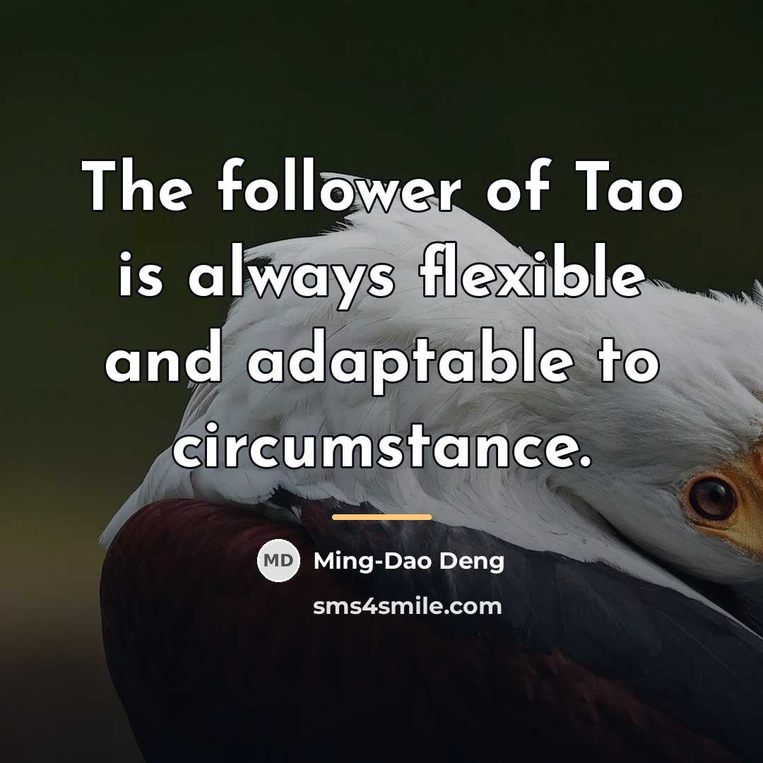 “The follower of Tao is always flexible and adaptable to…” quote by Ming-Dao Deng
