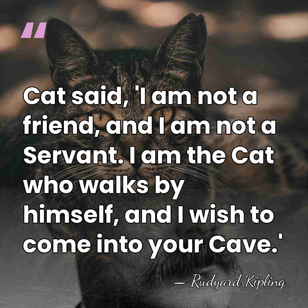 Cat said, 'I am not a friend, and I am not a&hellip; - Rudyard Kipling