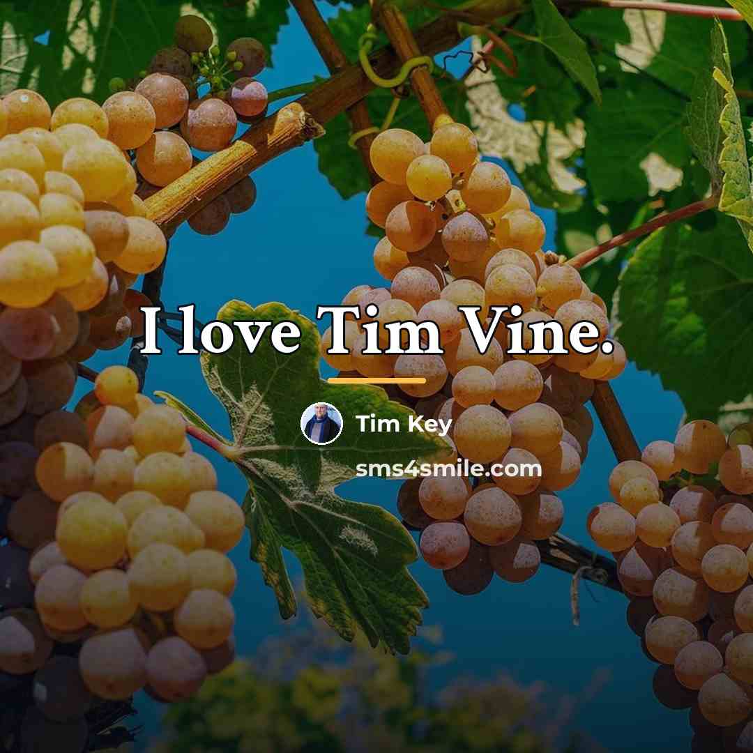 “I love Tim Vine.…” quote by Tim Key