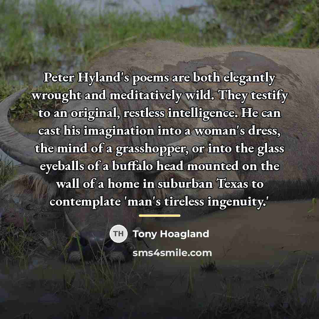 “Peter Hyland's poems are both elegantly wrought and meditatively wild.…” quote by Tony Hoagland