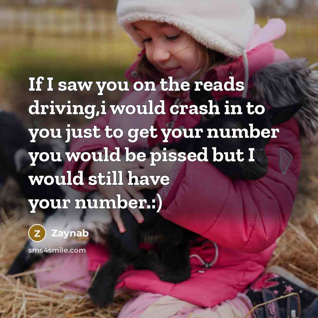 “If I saw you on the reads driving,i would crash in to you just to get your number you would be pissed but I would still have your number.:)” quote by Zaynab