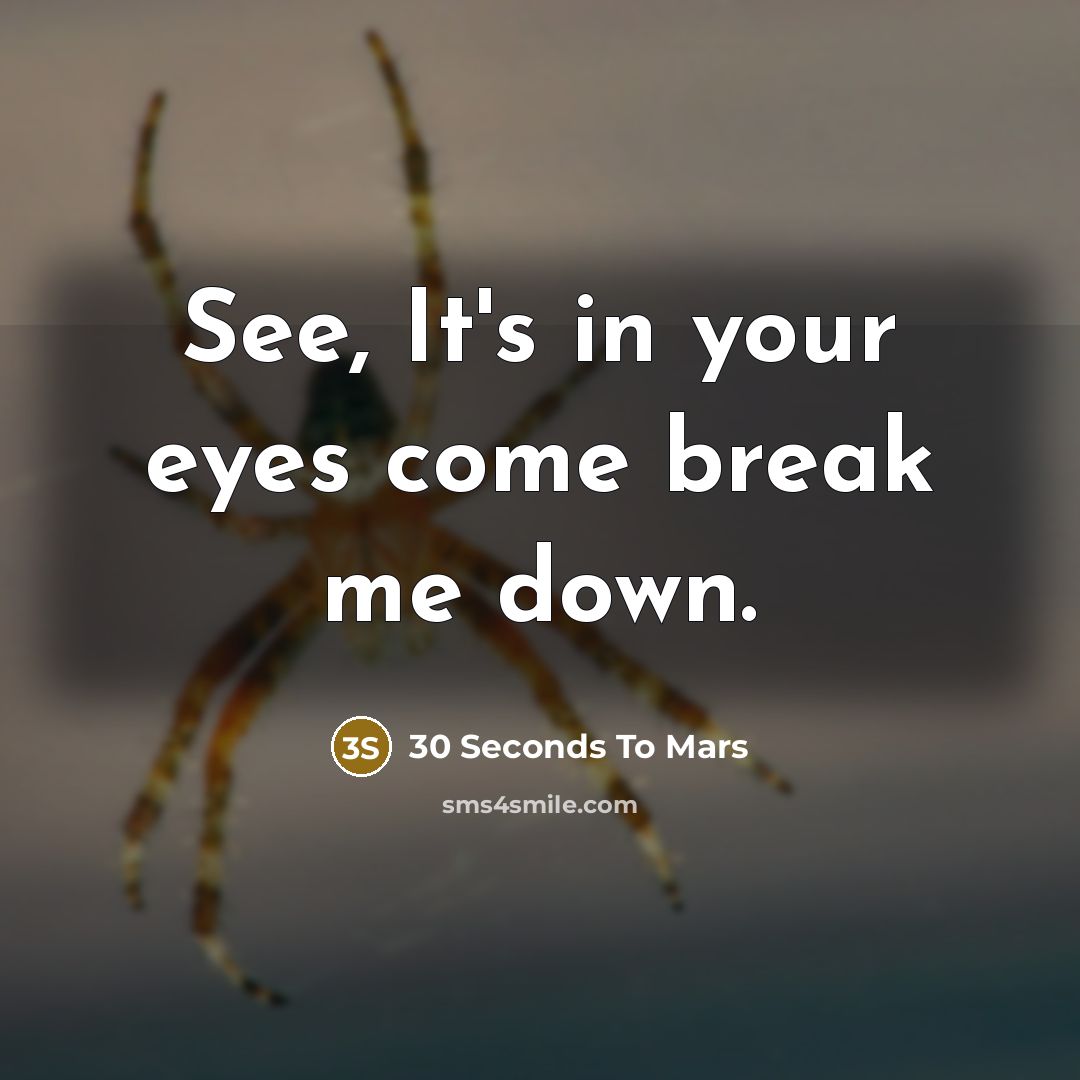 “See, It's in your eyes come break me down.” quote by 30 Seconds To Mars