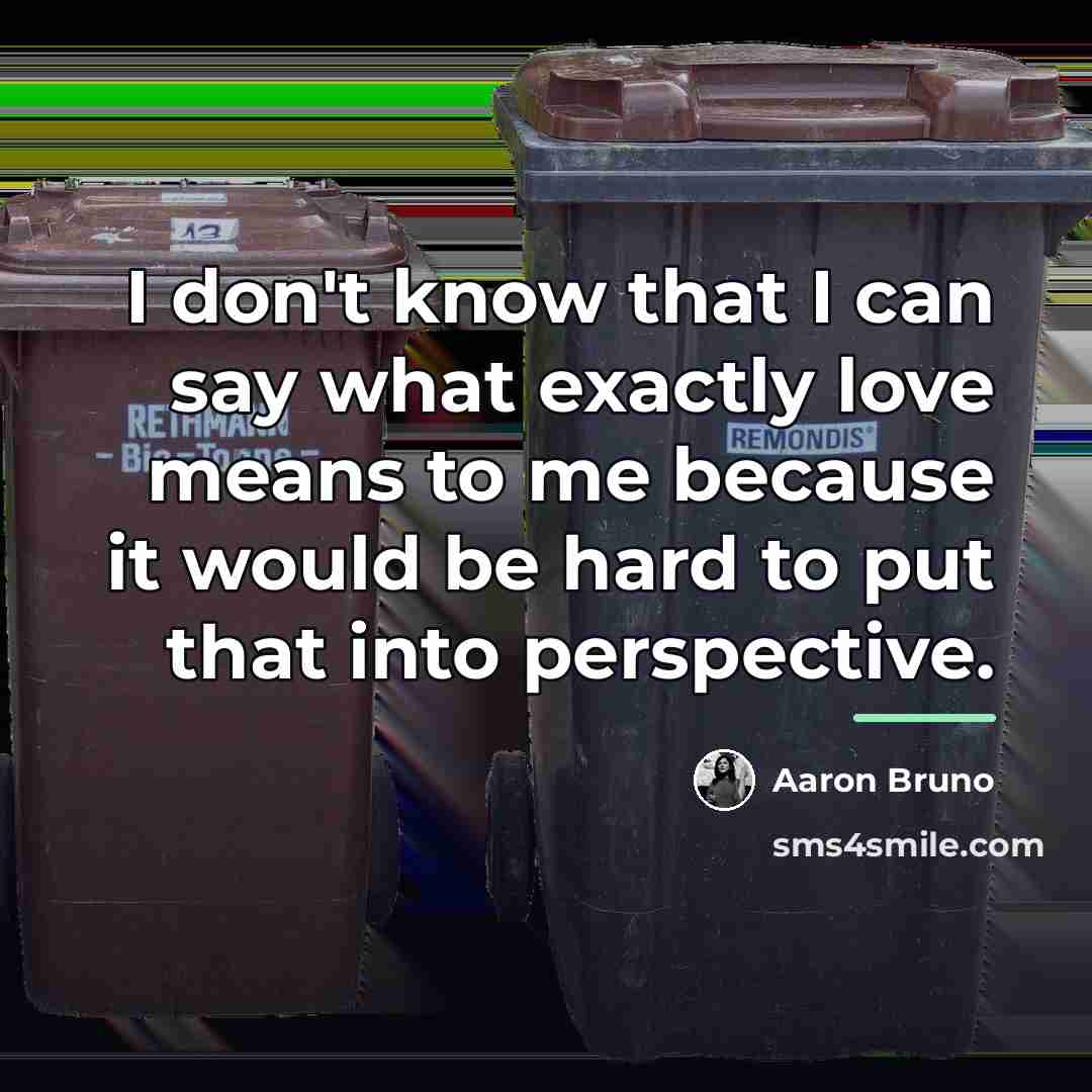 “I don't know that I can say what exactly love…” quote by Aaron Bruno