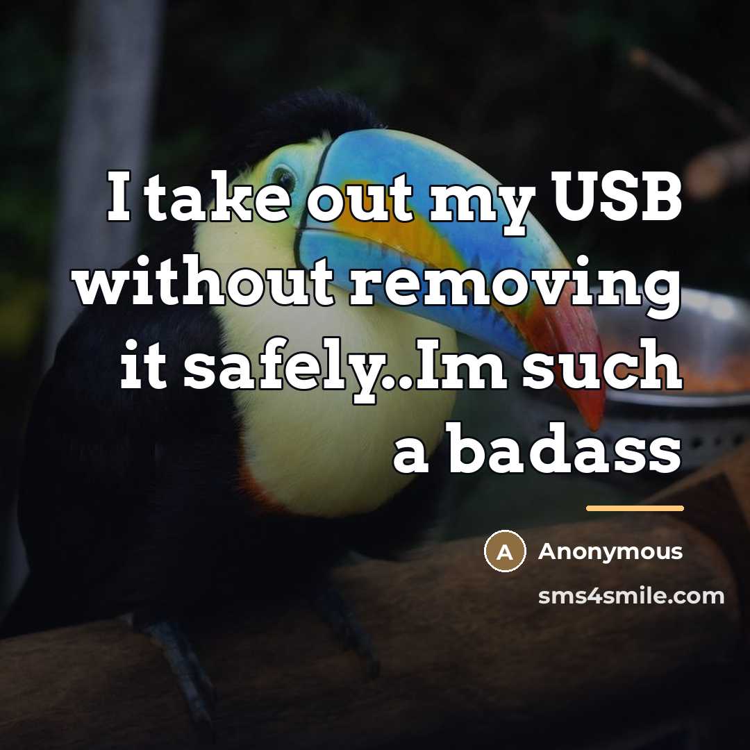 “I take out my USB without removing it safely..Im such…” quote by Anonymous