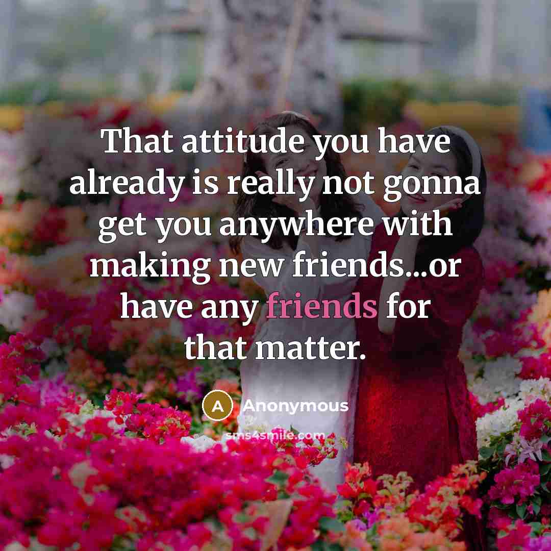 “That attitude you have already is really not gonna get you anywhere with making new friends...or have any friends for that matter.” quote by Anonymous