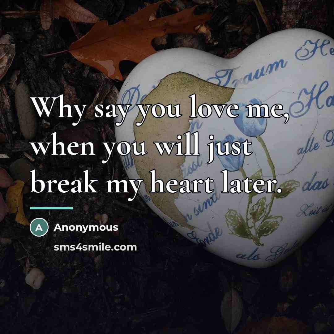 “Why say you love me, when you will just break…” quote by Anonymous
